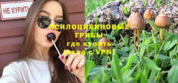 дмт Балахна