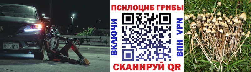 MEGA зеркало  Гаврилов Посад  Галлюциногенные грибы Cubensis  хочу наркоту 