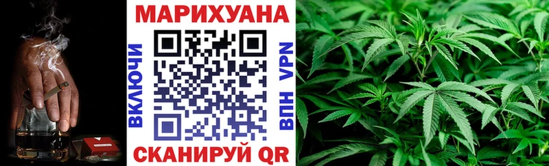 Бошки марихуана сатива  Гаврилов Посад 